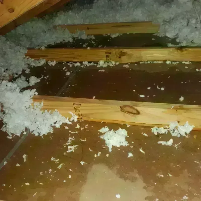 Attic Water Damage in Fletcher, OK